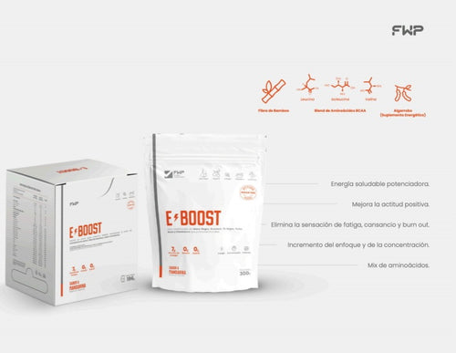 E - BOOST